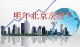 楼市频道爆料新闻视频,最新视频揭秘楼市动态与趋势